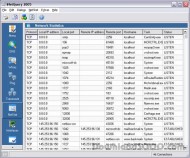 iNetQuery screenshot